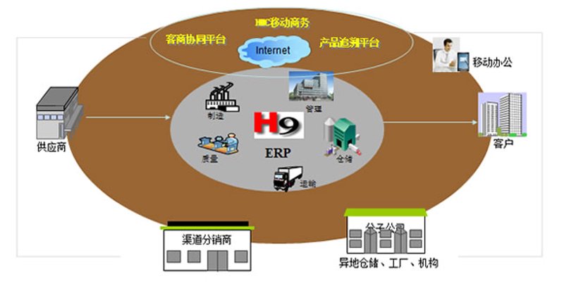 科技前沿：IT解决方案定制引领企业数字化转型
